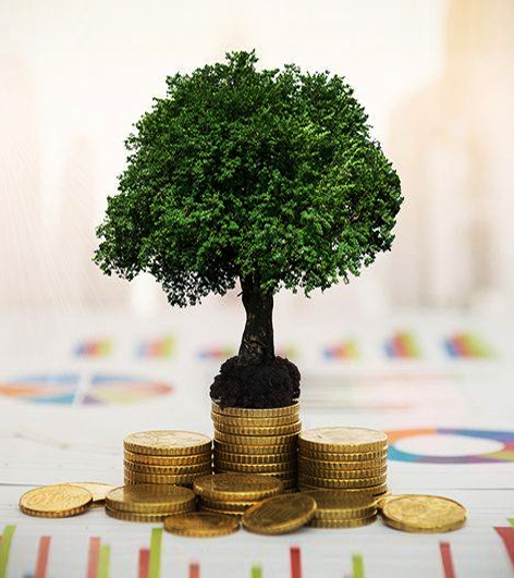 Camel safari osian jodhpur